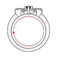 Size / Circumference