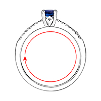 Size / Circumference