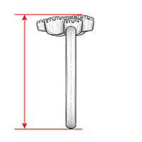 Height