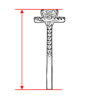 Height