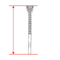 Height