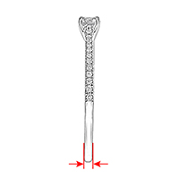 Shank Width