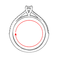 Size / Circumference
