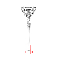 Shank Width