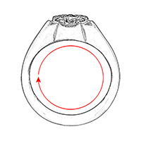 Size / Circumference