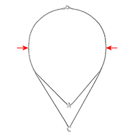 Chain Length