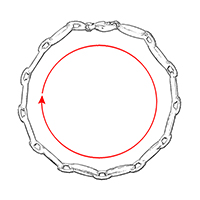 Size / Circumference