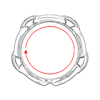 Size / Circumference