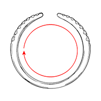 Size / Circumference