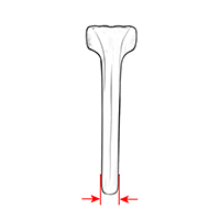 Shank Width